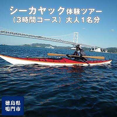 シーカヤック体験ツアー(3時間コース)大人1名分
