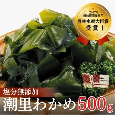 【農林水産大臣賞】潮里わかめ