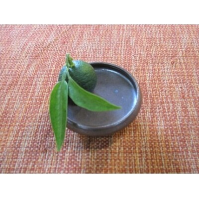 大谷焼 　みそ焼器  (森陶器)