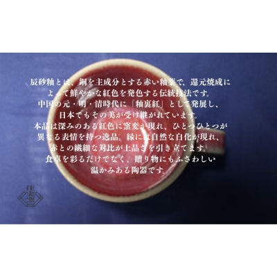 大谷焼 辰砂マグカップ　ペア(佳実窯)