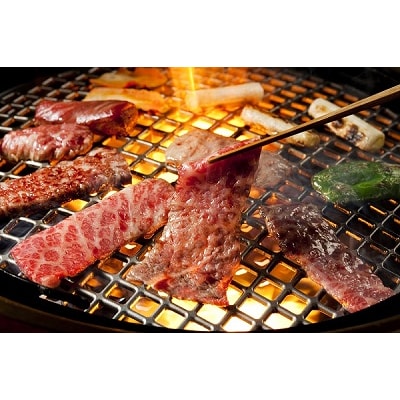 阿波黒牛　(牛モモ焼肉200g&切り落とし400g)