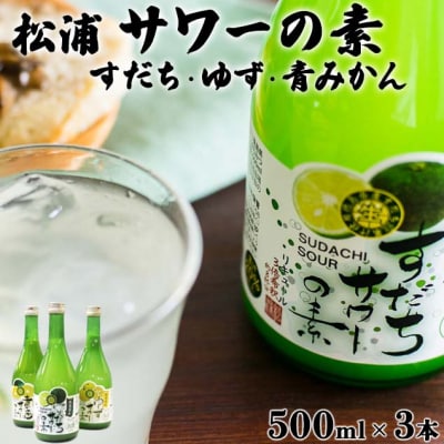 松浦 サワーの素3本セット 【本家松浦酒造】