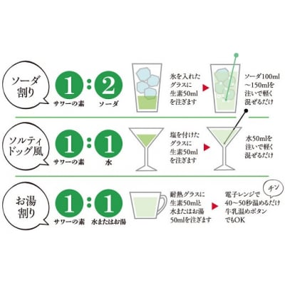 松浦 サワーの素3本セット 【本家松浦酒造】