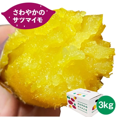 【先行受付中・2026年10月頃より順次発送】さわやかのサツマイモ3kg(10本～15本)