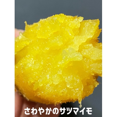 【先行受付中・2026年10月頃より順次発送】さわやかのサツマイモと鳴門金時の食べ比べセット　3kg