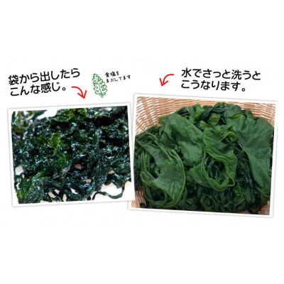 鳴門市里浦産塩蔵わかめ 120g×10袋　(株)貴彩