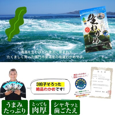 鳴門市里浦産塩蔵わかめ 120g×10袋　(株)貴彩