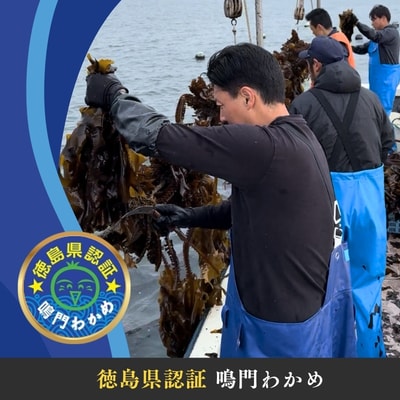 鳴門市里浦産塩蔵わかめ 120g×10袋　(株)貴彩