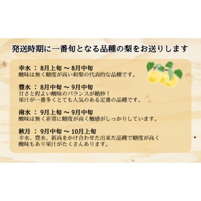 川添果樹園の特選梨 約5kg