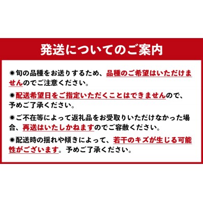 川添果樹園の特選梨 約5kg