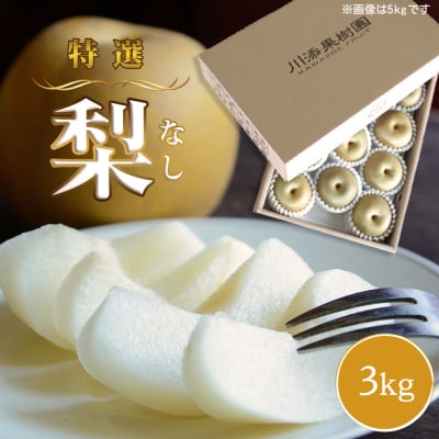 旬の品種をお届け! 川添果樹園の特選梨 約3kg