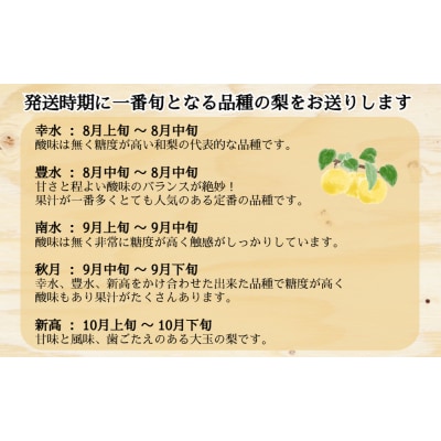 旬の品種をお届け! 川添果樹園の特選梨 約3kg