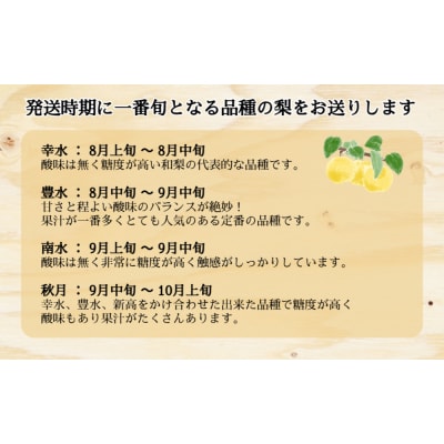 川添果樹園の特選梨 約3kg