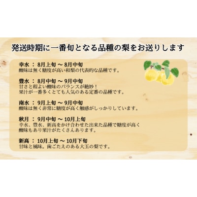 川添果樹園の特選梨 約3kg