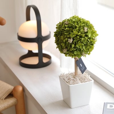 プリザーブドフラワー アナベル トピアリー 【Fine】