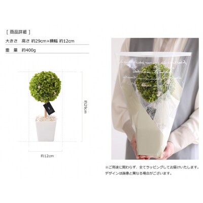 プリザーブドフラワー アナベル トピアリー 【Fine】