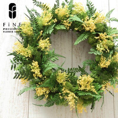 プリザーブドフラワー モリソニー【Fine】