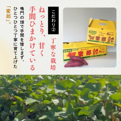 【先行受付中・2025年10月下旬頃より順次発送】さつまいも 蜜郎 3kg 