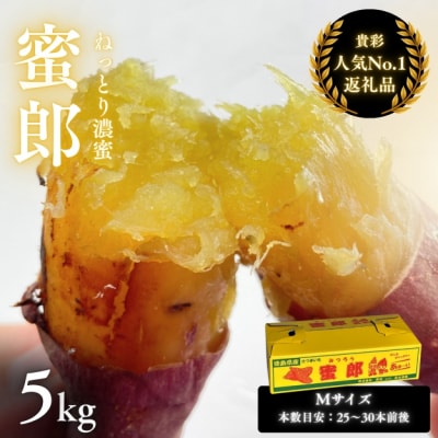 【先行受付中・2025年10月下旬頃より順次発送】さつまいも 蜜郎 5kg 