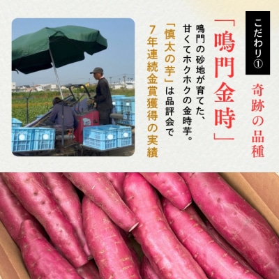 【先行受付中・2025年10月下旬頃より順次発送】鳴門市里浦産 慎太の芋 5kg 