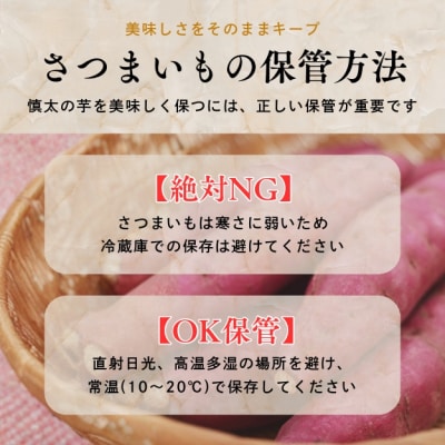 【先行受付中・2025年10月下旬頃より順次発送】鳴門市里浦産 慎太の芋 5kg 