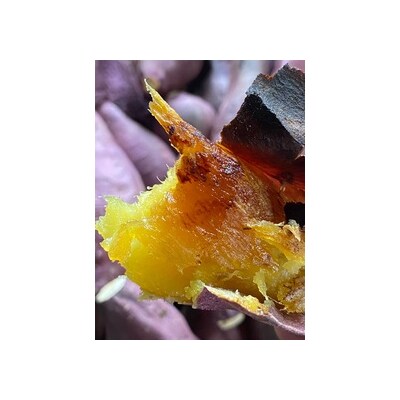 【先行受付中・2026年10月頃より順次発送】さわやかの焼き芋 3kg(15本～25本)