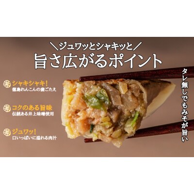 徳島れんこん旨みそ餃子