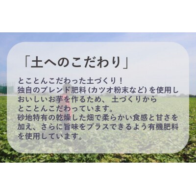 【先行受付中・2025年11月中旬頃より順次発送】鳴門市大津産 旨味金時 3kg