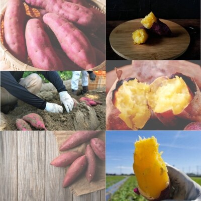 鳴門市大津産 旨味金時 3kg