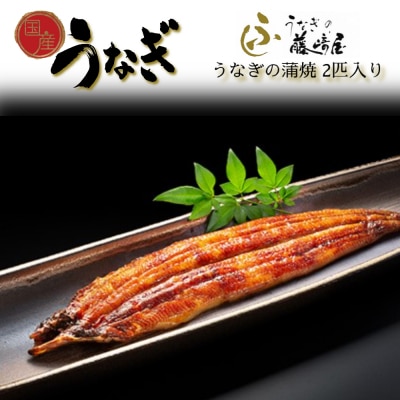 国産 うなぎの蒲焼 2匹入り 【藤崎屋】