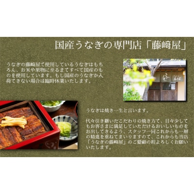 国産 うなぎの蒲焼 2匹入り 【藤崎屋】