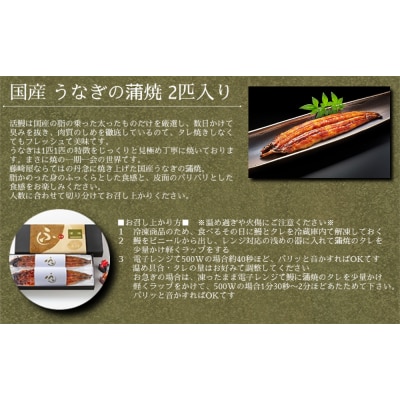 国産 うなぎの蒲焼 2匹入り 【藤崎屋】
