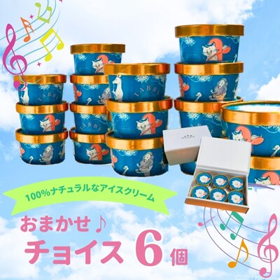 【TABBY ICE CREAM】おまかせチョイス♪ アイスクリーム 6個 セット
