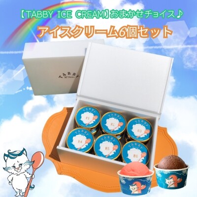 【TABBY ICE CREAM】おまかせチョイス♪ アイスクリーム 6個 セット