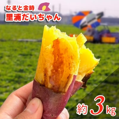 【先行受付中・2025年10月下旬頃より順次発送】鳴門産 さつまいも 里浦だいちゃん 3kg