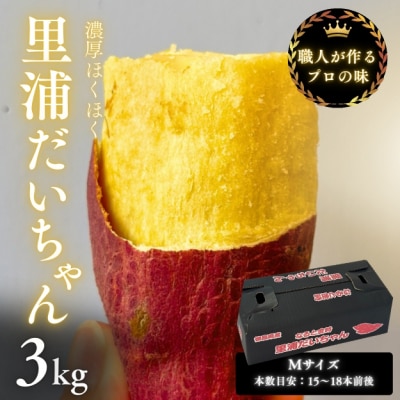 【先行受付中・2025年10月下旬頃より順次発送】鳴門産 さつまいも 里浦だいちゃん 3kg
