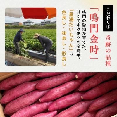 【先行受付中・2025年10月下旬頃より順次発送】鳴門産 さつまいも 里浦だいちゃん 3kg