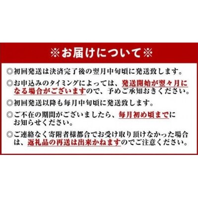 定期便6回お届け 阿波黒牛のうずしおハンバーグ 150g×10個 合計9kg