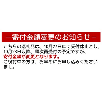 藍パールドロップ型イヤリング