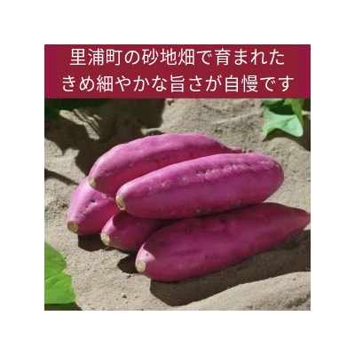 なると金時 里むすめ コロッケ 300g(60g×5個)× 3袋