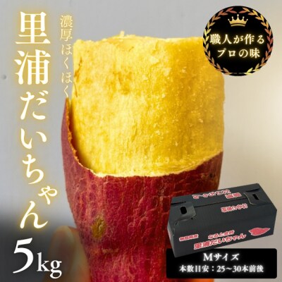 【先行受付中・2025年10月下旬頃より順次発送】鳴門産 さつまいも 里浦だいちゃん 5kg