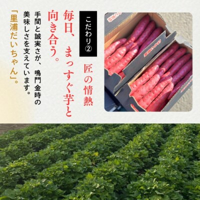 【先行受付中・2025年10月下旬頃より順次発送】鳴門産 さつまいも 里浦だいちゃん 5kg