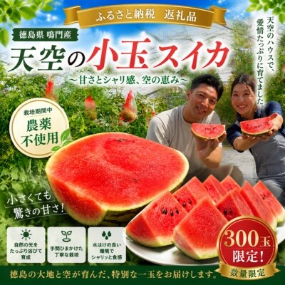 【先行受付中・2026年7月下旬以降順次発送】天空のスイカ 1玉