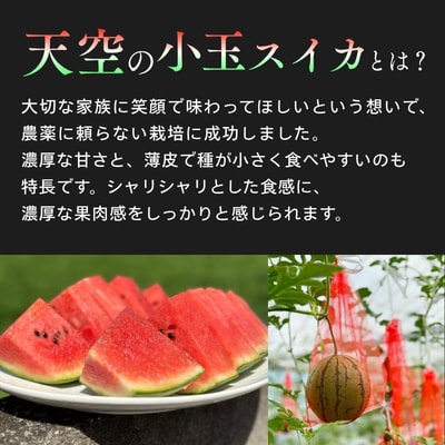 天空のスイカ 1玉