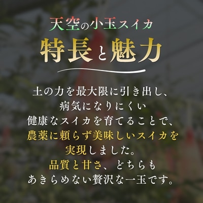 天空のスイカ 1玉