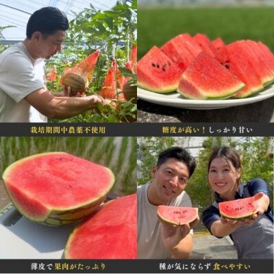【先行受付中・2026年7月下旬以降順次発送】天空のスイカ 1玉