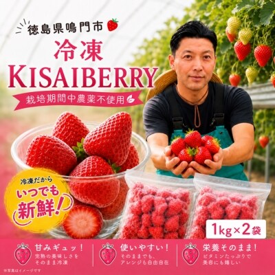 KISAI GARDEN 冷凍いちご KISAI BERRY 2kg