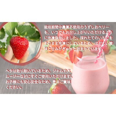 KISAI GARDEN 冷凍いちご うずしおベリー 2kg