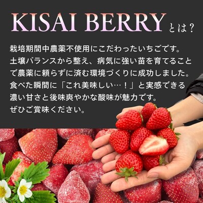 KISAI GARDEN 冷凍いちご KISAI BERRY 2kg