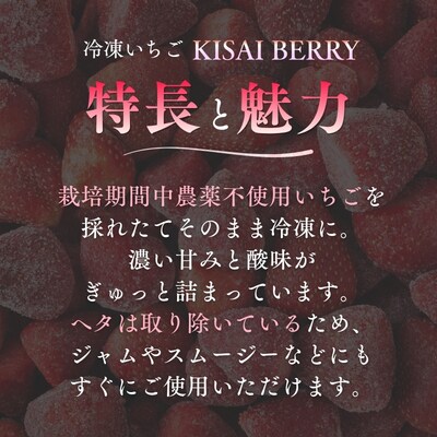 KISAI GARDEN 冷凍いちご KISAI BERRY 2kg